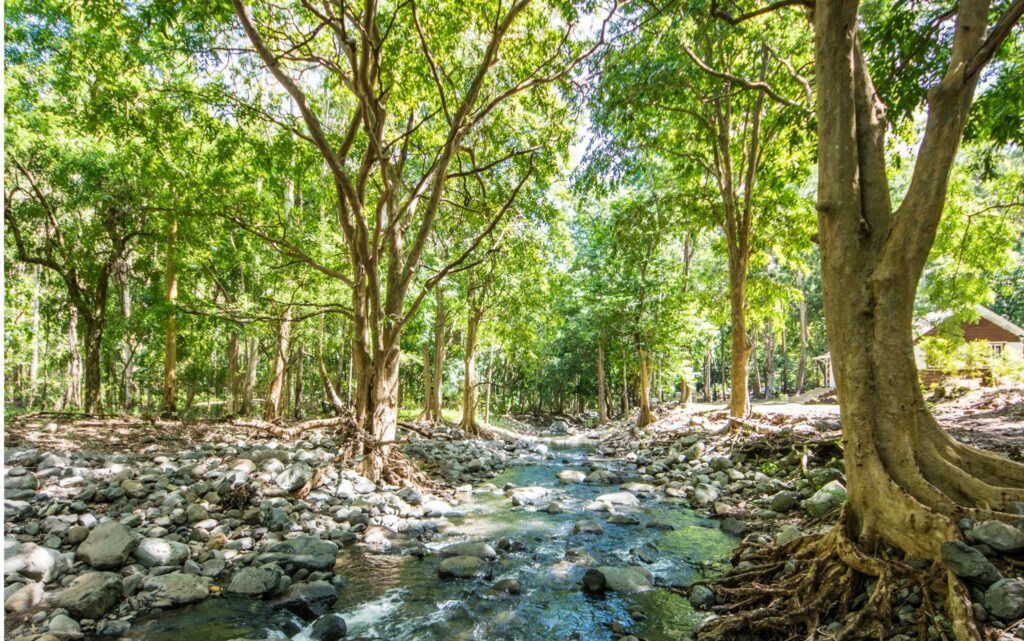 West Road Trip-1245 1 to 1 4 23 Nature Mauritius - - Top 5 Activities to do in Mauritius - Living in Mauritius Island