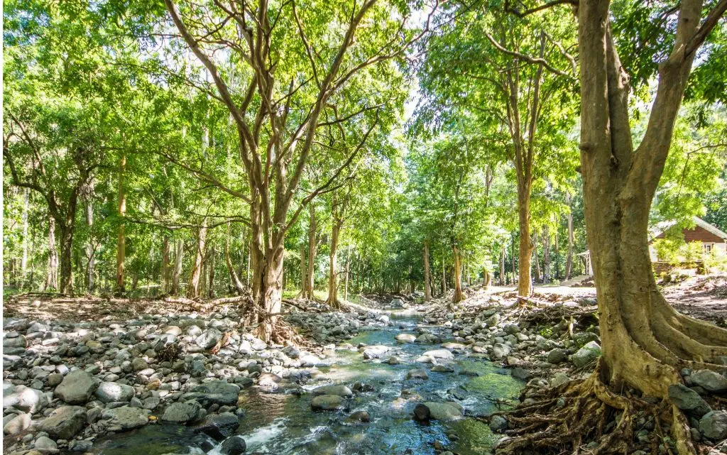 West Road Trip-1245 1 to 1 4 23 Nature Mauritius - - Top 5 Activities to do in Mauritius - Living in Mauritius Island