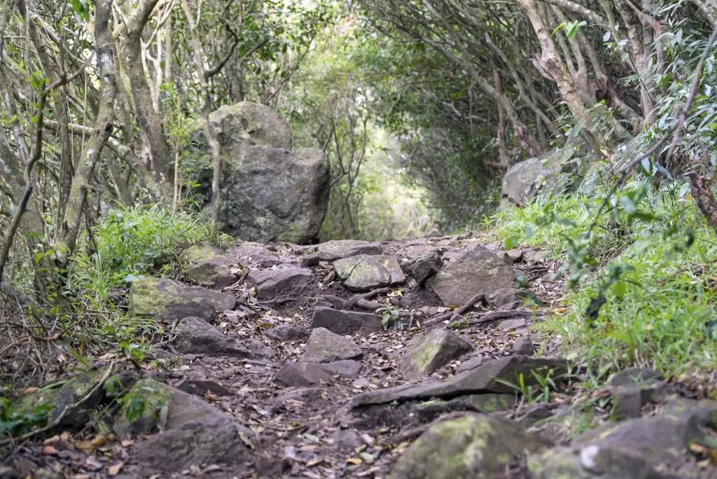 Le Pouce - Moka Trail Le Pouce - Moka Trail