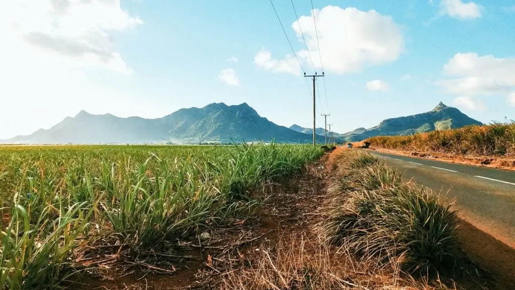 Processed with VSCO with c7 preset Moka | Moka Trail