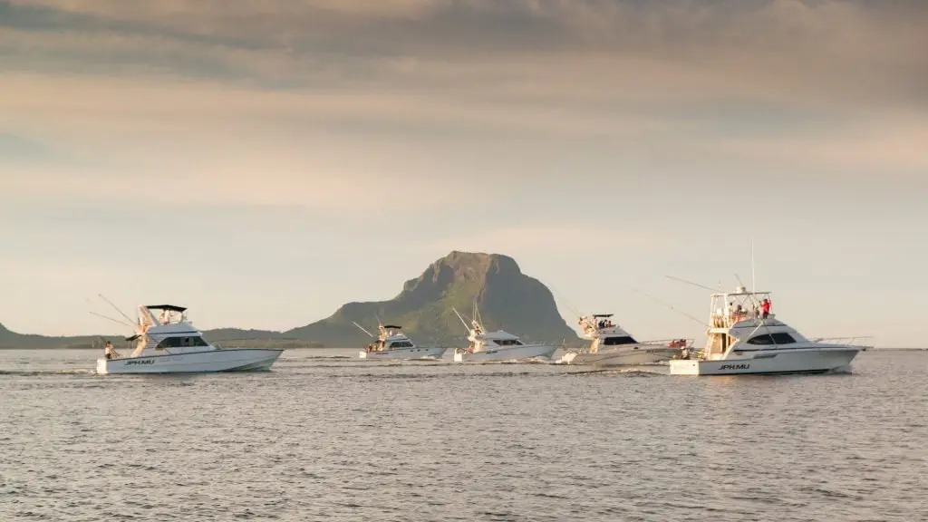 Mauritius Billfish Release International Tournament_2 Mauritius Billfish Release International Tournament_2